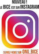 Le BICE est sur Instagram