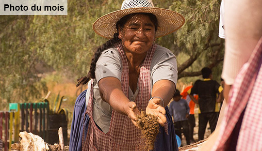 Favoriser l'autonomie alimentaire des familles quechua vulnérables en Bolivie